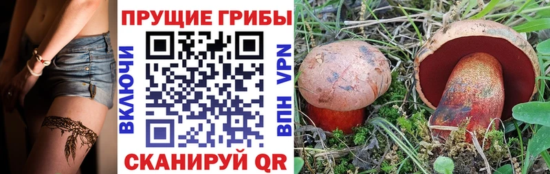 ОМГ ОМГ вход Кинель Галлюциногенные грибы прущие грибы