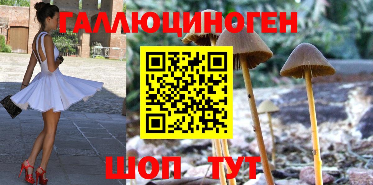 Галлюциногенные грибы мухоморы  Вход с VPN  Кинель 