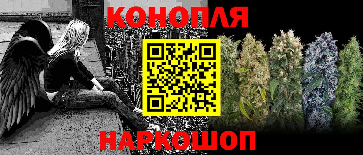 Бошки Шишки ГИДРОПОН Кинель